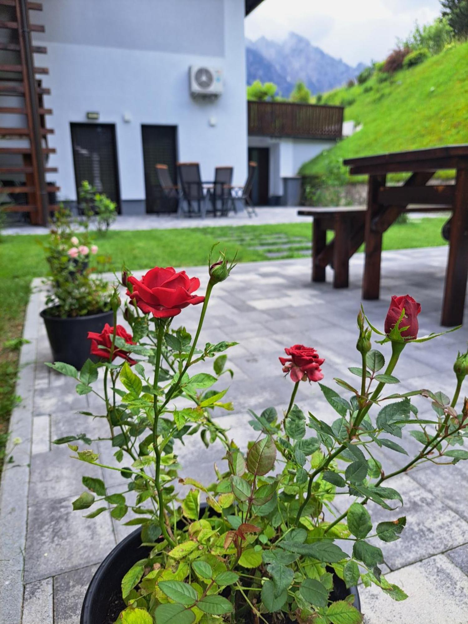 Reset Apartments Kranjska Gora Εξωτερικό φωτογραφία